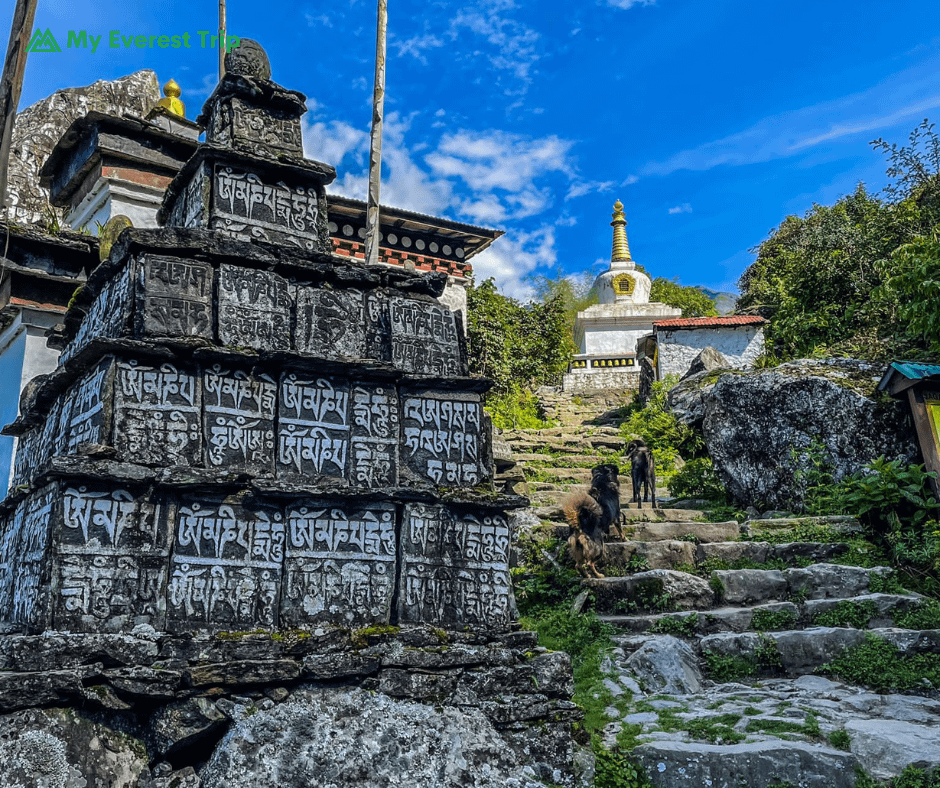 Everest base camp 14 days trek