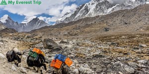 Lobuche Peak Trek