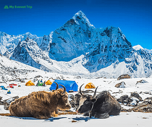 Ama Dablam peak