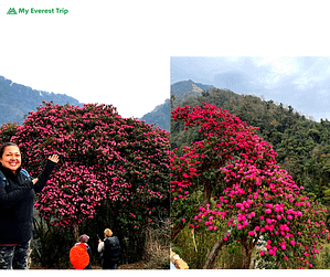 Annapurna trek: Trekking in Nepal