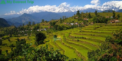 Nepal Annapurna Royal Trek